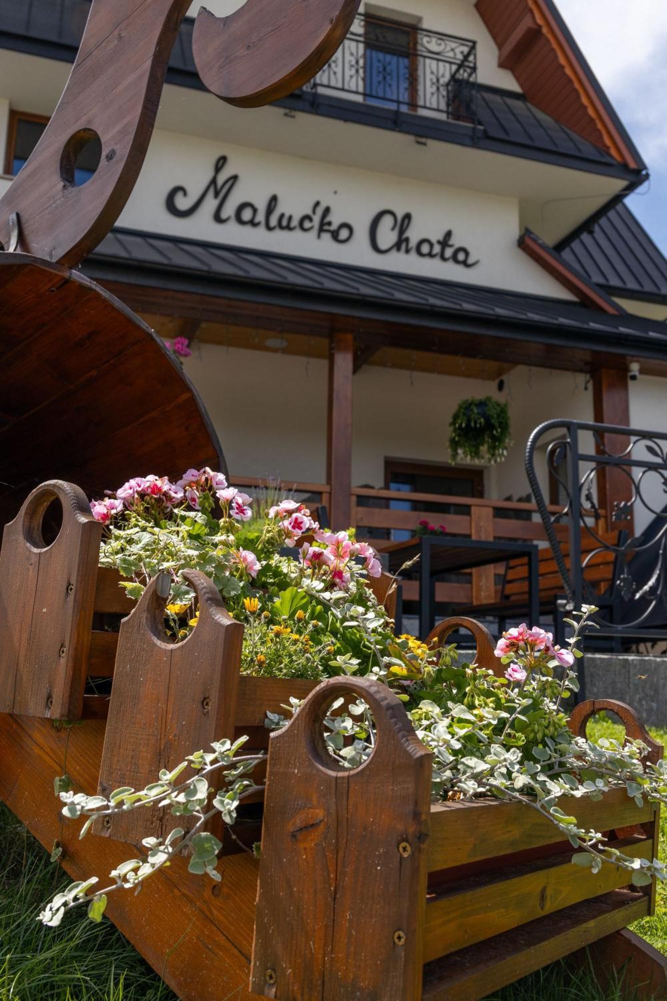 „Malucko Chata” Zakopane Exteriér fotografie