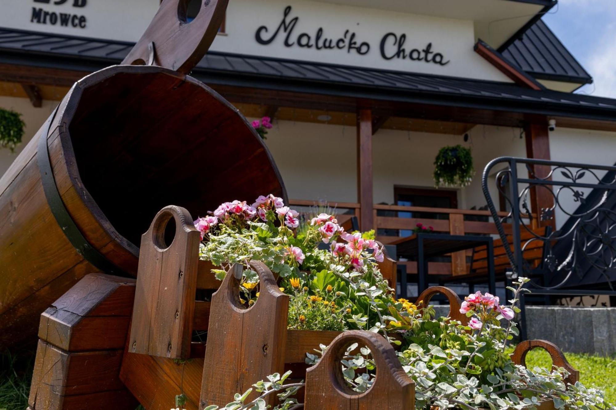 „Malucko Chata” Zakopane Exteriér fotografie